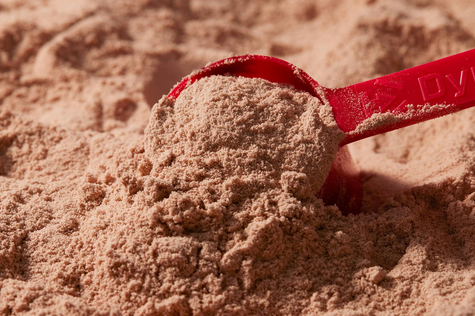 A red scooper in a pile of chocolate protein powder.